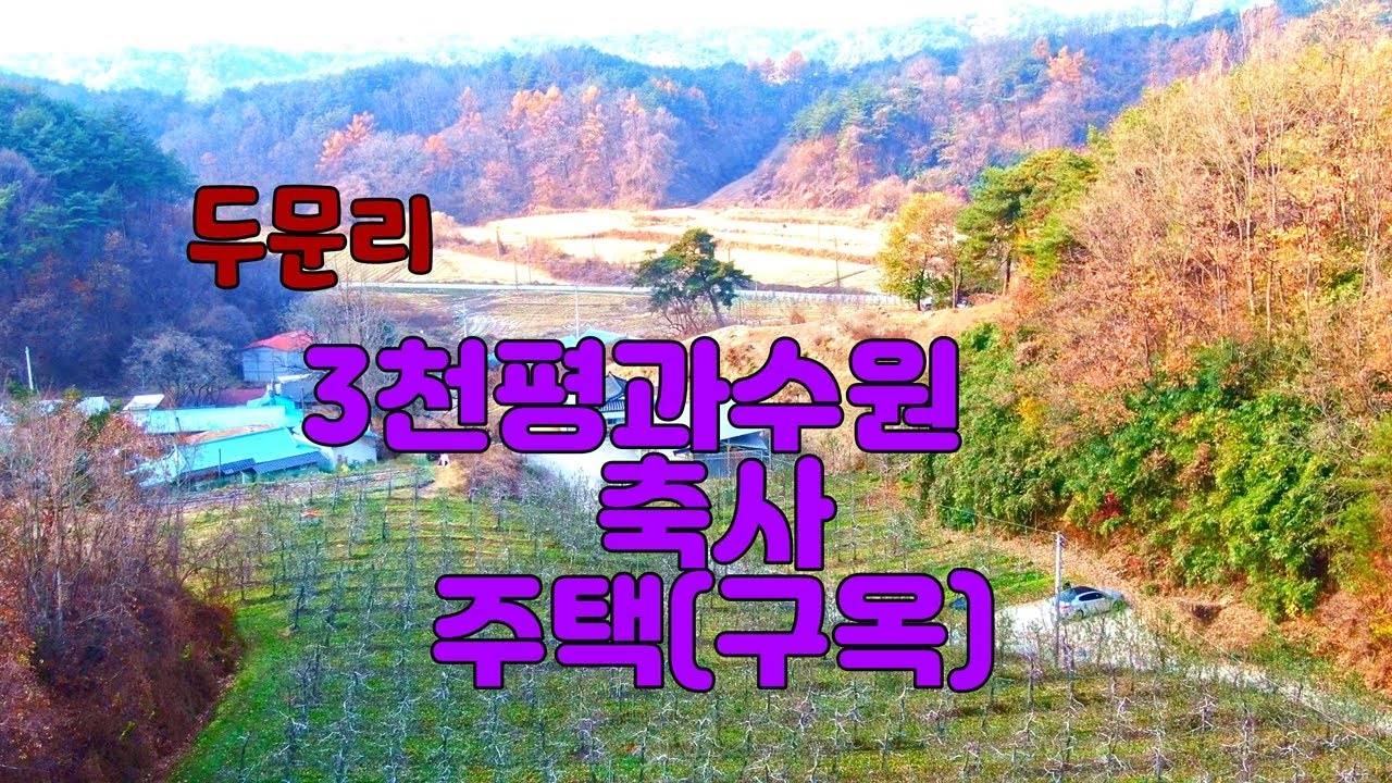 [매물번호 120]  3천평 과수원과 주택, 창고
