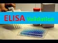 ELISA Validation