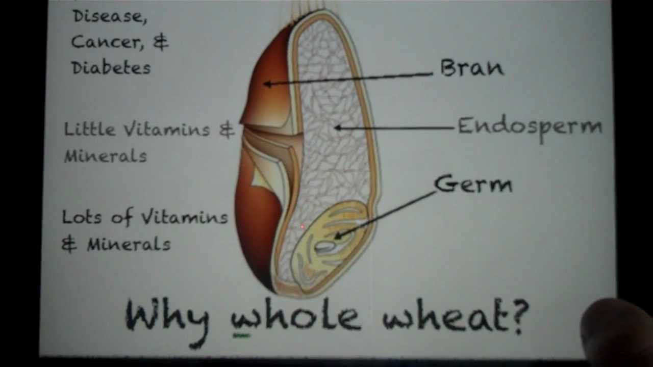 Why Whole Wheat? YouTube