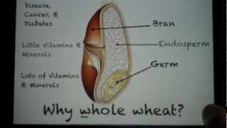 Why Whole Wheat?