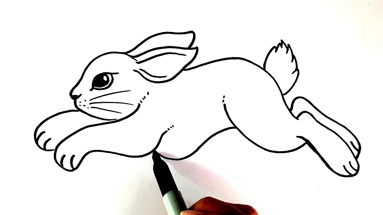 Running Rabbit Drawing Easy For Kids