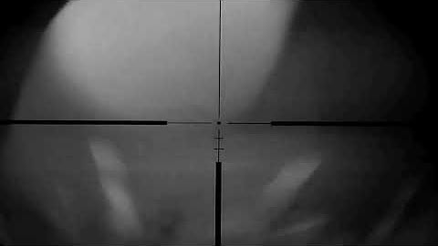 Foxing using pard 007