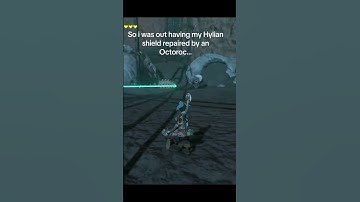 RIP MY HYLIAN SHIELD #tearsofthekingdom #totk #zelda #shorts