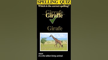 SPELLING QUIZ #1 I Test your Spelling Abilities with this Quiz I