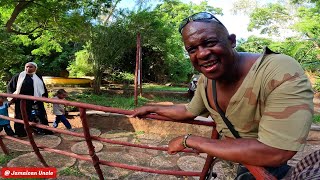 Only In Africa I have Accomplished most of my Dreams || Touring HALLER Park