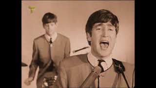 Watch Beatles Sie Liebt Dich video