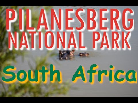 2023 South Africa:  Pilanesberg National Park
