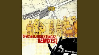 Perspektiven &amp; Relationen (DJ Brisk Fingaz Remix) (Instrumental)