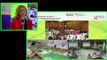 COP-19: REDD+ Results: Real Stories from the Forest