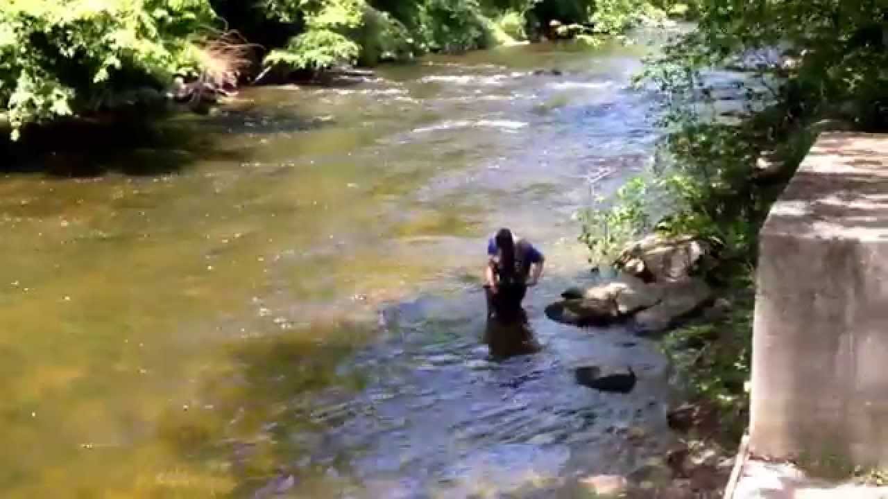 East Branch Croton rainbow trout midge YouTube