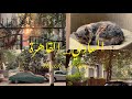 المعادي القاهرة Maadi Cairo 