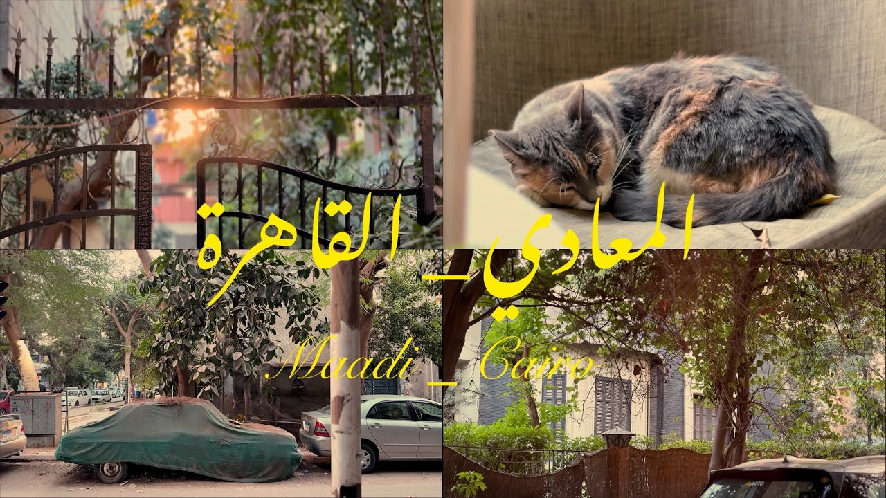المعادي _ القاهرة Maadi _ Cairo