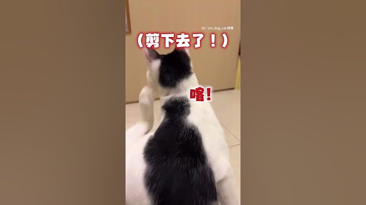 【貓貓腿抬高高洗澡中！】被偷剪指甲呆愣模樣超萌XD #Shorts