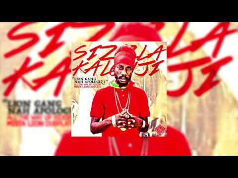 "Lion Gang Nah Apologize" Sizzla Kalonji (Mista Lion Dubplate)