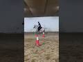 Arabian Horse Riding Training 🐎🔥 | تدريب ركوب الحصان العربي #ArabianHorse#HorseTraining