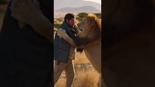 THE GOLDEN STANDOFF — MAN AND LION IN THE ULTIMATE FACE OFF #wildlife #nature #safari