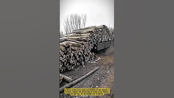 This is the Process of Unloading Logs from a Truck- Good tools and machinery in daily work