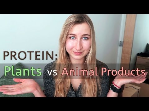 animal-vs-plant-protein:-which-has-more?-|-best-vegan-protein-sources