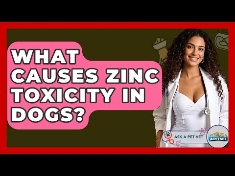 Is Zinc Gluconate Toxic To Dogs