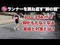 30~35kmで脚が持たなくなる理由と対策