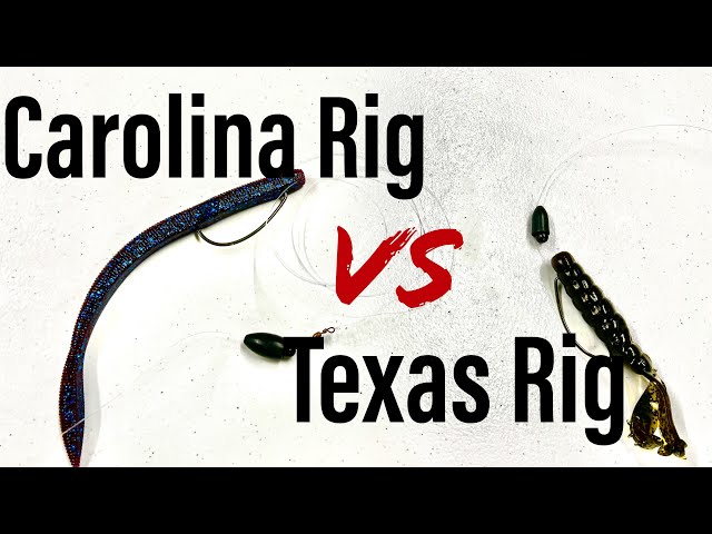 90% Of Anglers Don't Know When To Use A CAROLINA RIG Over A TEXAS