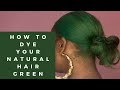 Natural Hair Dye Tutorial (BEGINNER FRIENDLY)