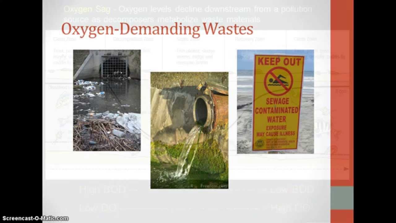 Water pollution YouTube