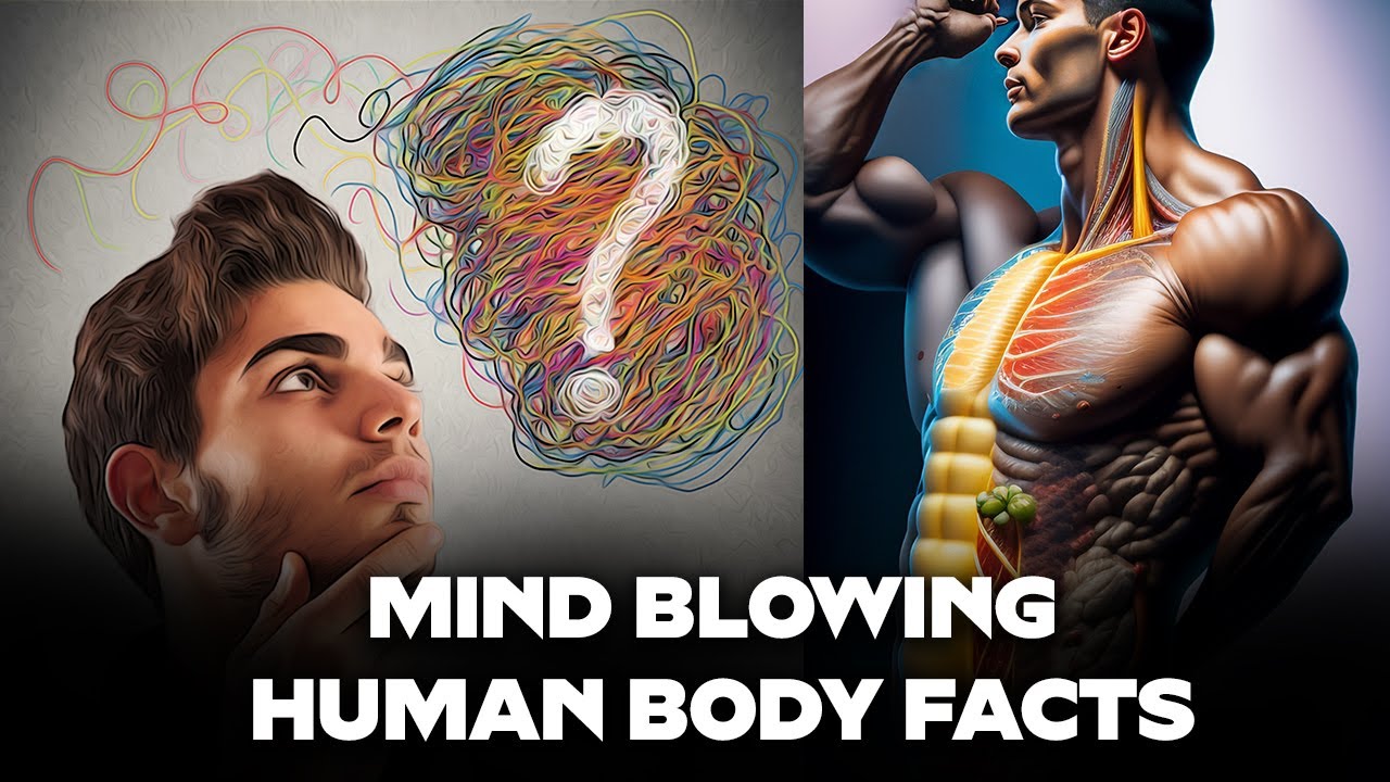 10 Mind-Blowing Fun Facts About the Human Body - YouTube