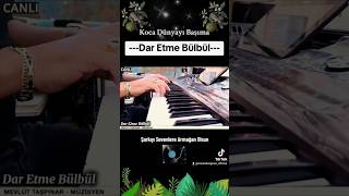 Dar Etme Bülbül