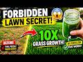 The Forbidden Homemade Fertilizer That Makes Grass EXPLODE With 10X Growth (Fastest Lawn Trick Ever)