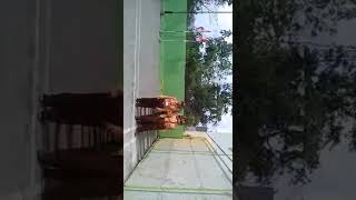 Yel yel regu badak, elang