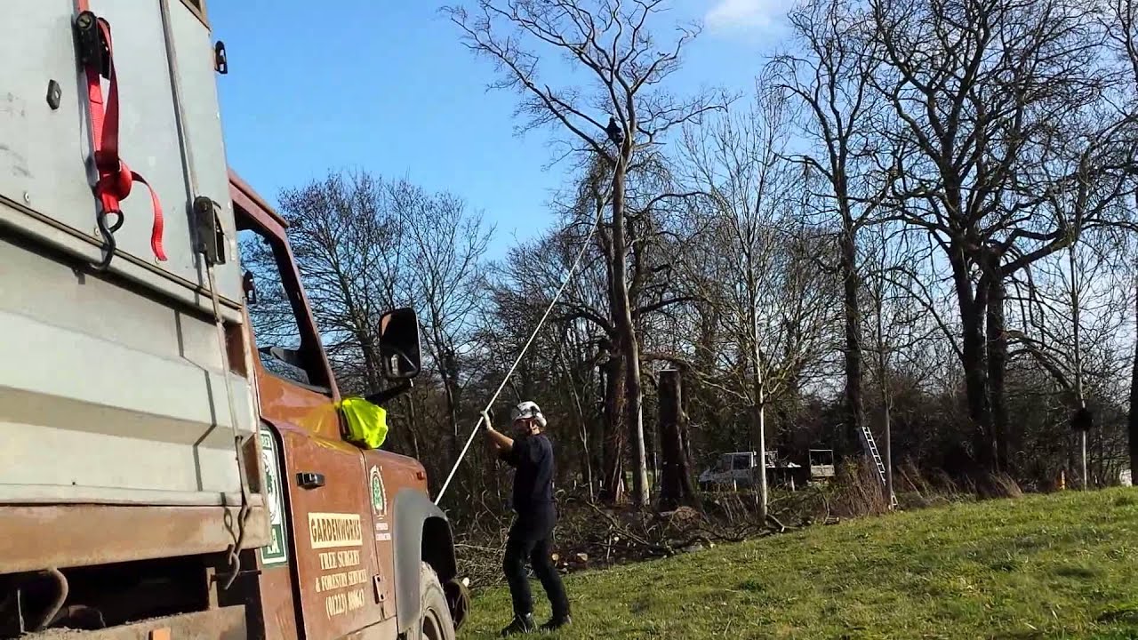 Tree surgery zip line YouTube