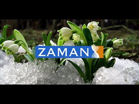 Zaman Gazetesi reklam filmi- Sükutun Çığlığı-Ekim 2015