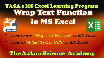 Wrap Text Function in MS Excel |[Urdu\Hindi]