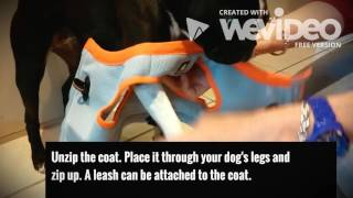 Cooling Dog Coats by Andrew Long 293 views 7 years ago 1 minute, 7 seconds