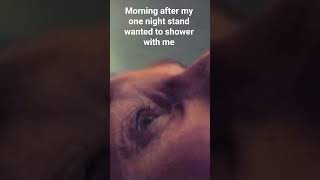 Can't refuse to shower with my one night stand #funny Widows Bay #creepy