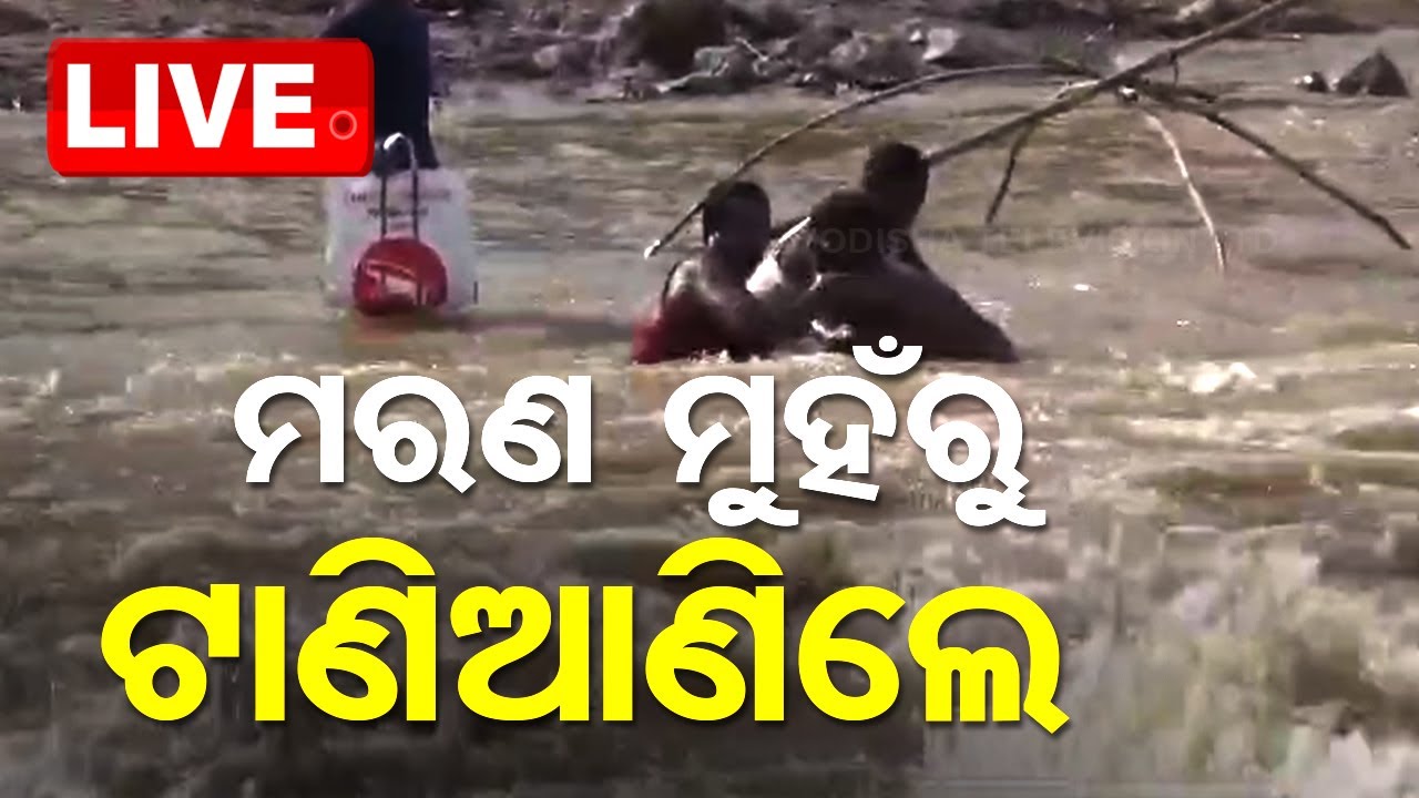 ????Live | ମରଣ  ମୁହଁରୁ ଟାଣି ଆଣିଲେ  | Mayurbhanj Rescue Operation | Odisha TV