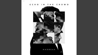 Echo in the Crowd