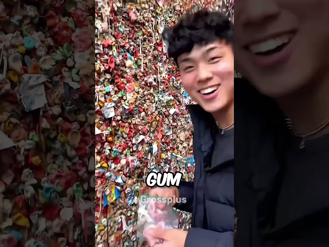 Chewing gum wall #shorts #science class=