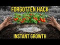 One Buried Fish Core Supercharges Your Garden For Months — Why Did We Forget This?