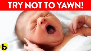 Why Is Yawning So Contagious?