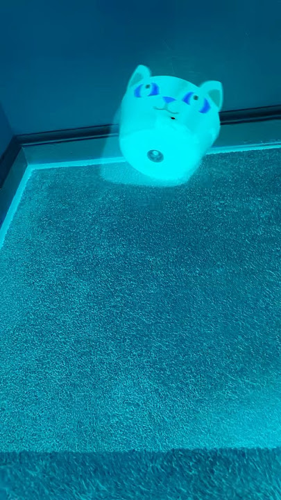 Which ringtone you like the most ?