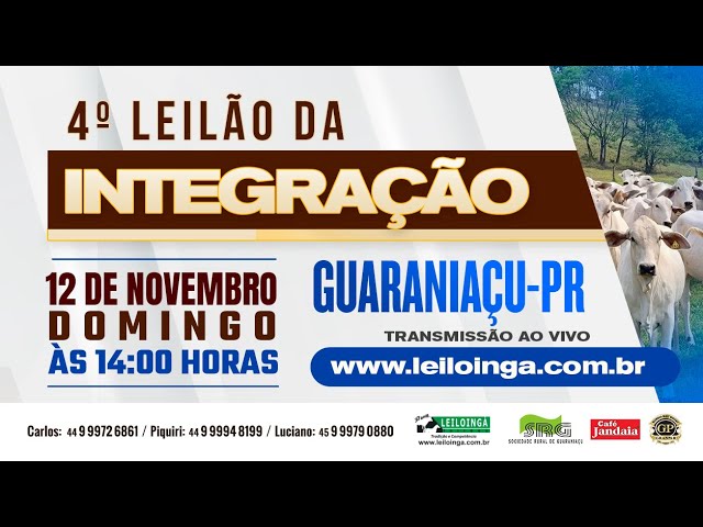 4º LEILÃO DA CONQUISTA – GADO DE CORTE- GUARANIAÇU-PR – LeiloIngá