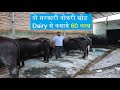 दो सरकारी नोकरी छोड़ डेयरी से कमाये 60 लाख|Dairy farming,How to start dairy farm,murrah dairy,profit