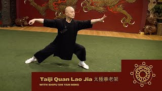 Taiji Quan Lao Jia - 太極拳老架 - 5 MIN CLASS