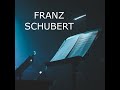 Schubert: Divertissement à l'hongroise In G Minor, D.818 - 2. Marcia: Andante con moto (Live) Mp3 Song