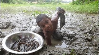Do You Believe This Fishing? Poisonous Thorn Fish Catching From Mud Hole By Kids Hand