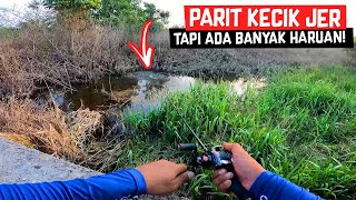 Kalau anda pemancing HARUAN, jangan ABAIKAN parit kecil macam ni!