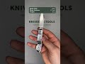 QSP Knife Moray QS171 C, Limited Edition, Satin Vanax, Mother of Pearl pocket knife