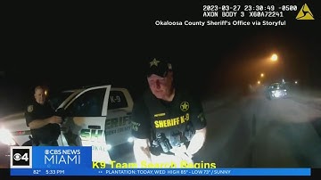 K-9 helps deputies find lost boy with autism